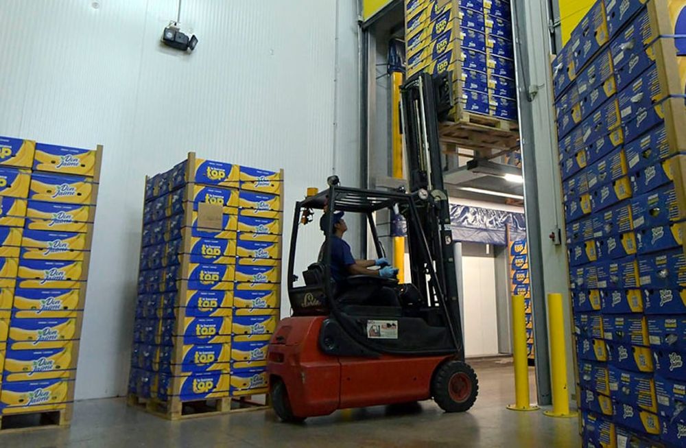 La empresa mendocina Don Jaime, comercializa bananas de Ecuador, frutillas y Kiwis de Chile en sus plantas  y cámaras refrigerantes en el Mercado Cooperativo de Guaymallén/ Foto: Orlando Pelichotti
