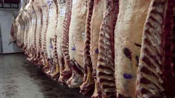 CARNE VACUNA (Archivo/La Voz).