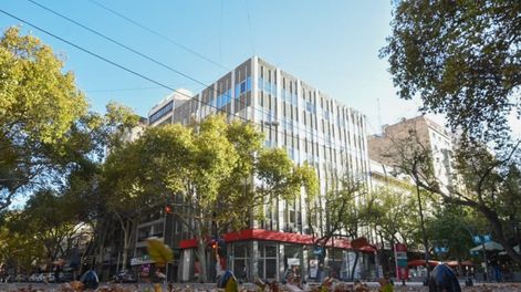 Lo que el Zonda nos dejó: más de 150 árboles, ramas, postes y cables caídos luego del viento. Foto: Marina Villa / Los Andes
