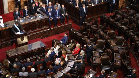 El presidente Javier Milei, durante el discurso de inauguración de las sesiones ordinarias 2025.