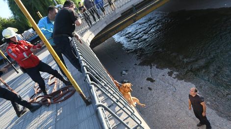 Los Andes | Fotos y video: bomberos rescataron a un perrito en el canal Cacique Guaymallén y evitaron que se ahogue. Foto: Ignacio Blanco / Los Andes.
