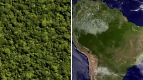La Nasa compartió imágenes de la selva del Amazonas intacta con los sonidos de la naturaleza. NASA