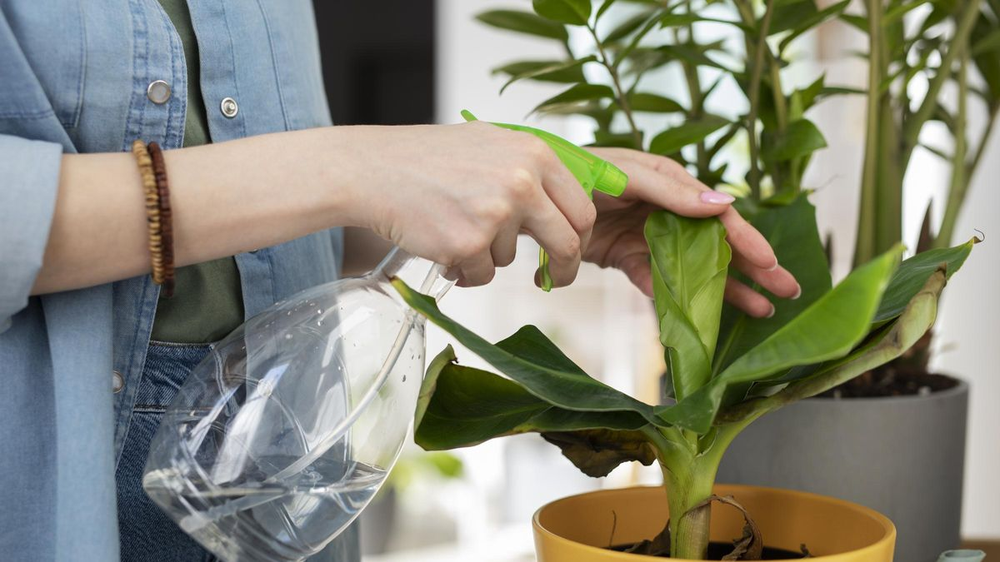 Una técnica de jardinería que cuida la salud, el ambiente y tus plantas