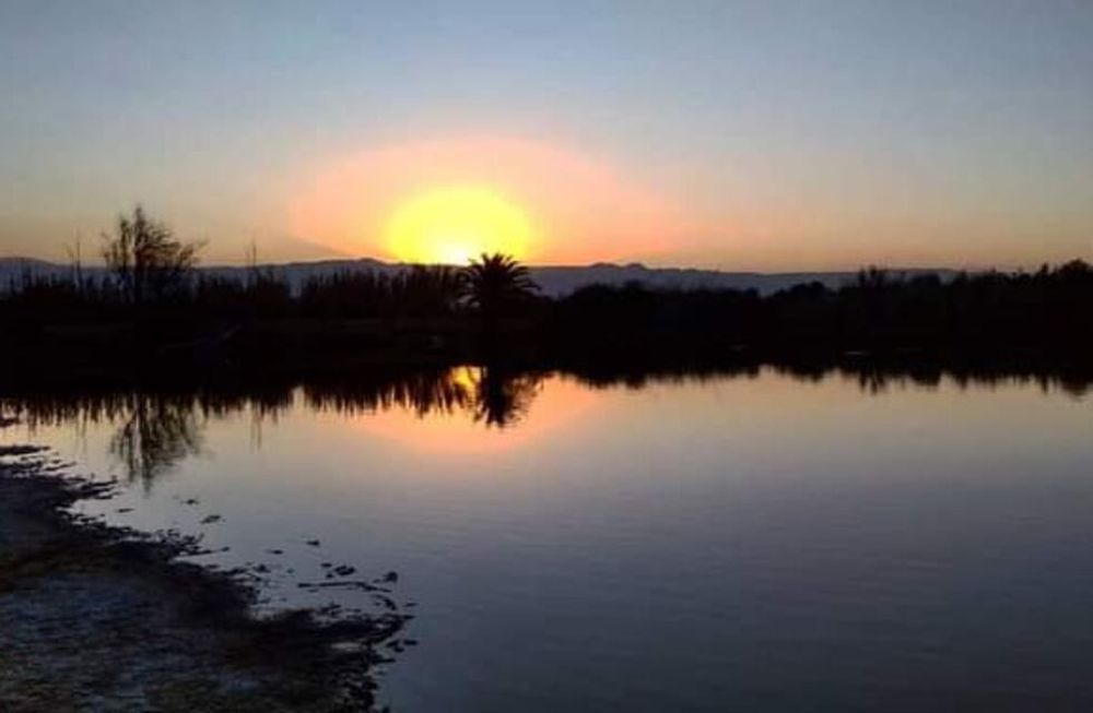 Laguna del Viborón: un lugar en Maipú para conocer y visitar en estas vacaciones de verano