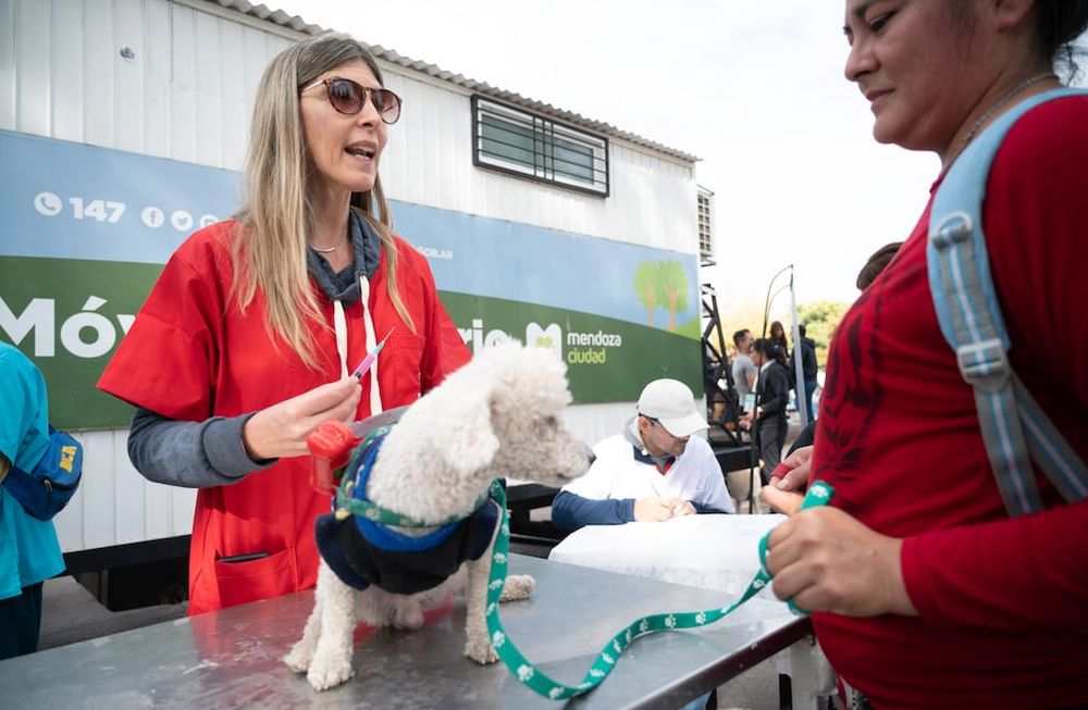 Atención: estos serán los puntos de atención del Móvil Veterinario de Ciudad durante el mes de julio