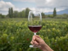 Mendoza, 6 de febrero de 2020 Turismo La Mendoza Top. Entre Cielos Luxury Wine Hotel degustando vino copa vino vinedos turismo Foto: Ignacio Blanco / Los Andes