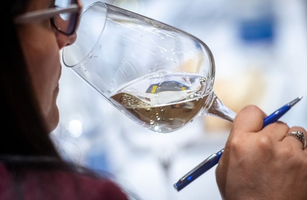 Concurso Nacional de Vinos 2024: El Senado distinguió a Los Andes y a Guarda 14 por su aporte al desarrollo de Mendoza/ Foto: Ignacio Blanco / Los Andes