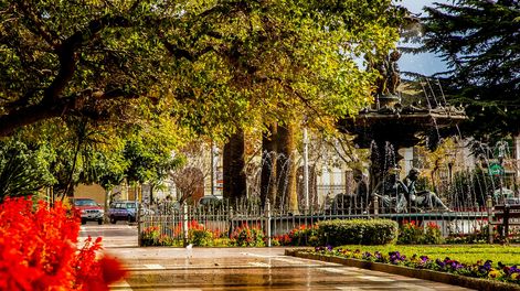 Maipú presenta su Sinfonía de Sabores: chocolate y música para toda la familia