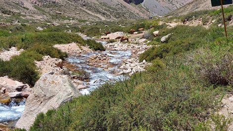 Sendero del Chorro de la Vieja