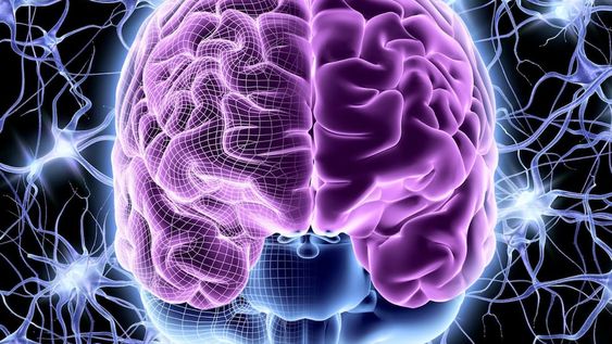 Este estudio pionero desencadena nuevas investigaciones sobre la complejidad del cerebro humano y subraya la importancia de considerar el factor de género en la comprensión de la salud mental y neurológica.