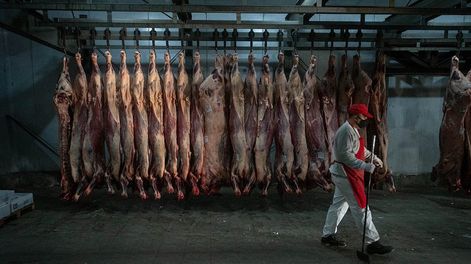 El gobierno dio marcha atrás y la carne se seguirá comercializando por media res. Foto: Ignacio Blanco / Los Andes