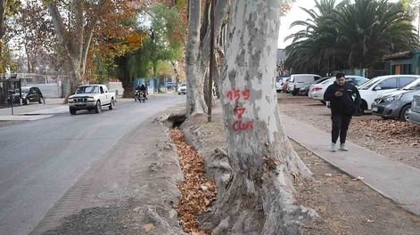Carril Mathus Hoyos desde Costanera hasta casi Avellaneda, pasó a ser administrado por el municipio de Guaymallén y se podrán realizar obras de urbanización. | Foto: José Gutierrez / Los Andes