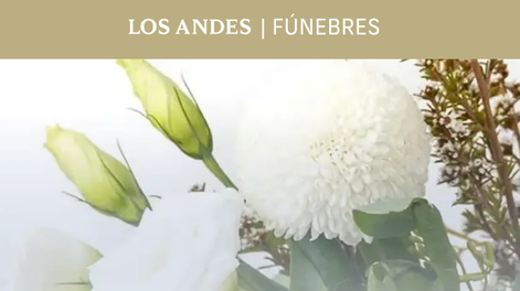 Los Andes lanzó loa avisos fúnebres en su portal web