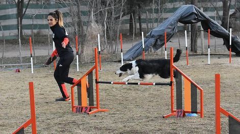 Los Andes | Claves y trucos del Agility, la disciplina de destrezas que es ideal para entrenar a los perros. Yésica con Mandela en un entrenamiento. Foto: Marcelo Rolland / Los Andes