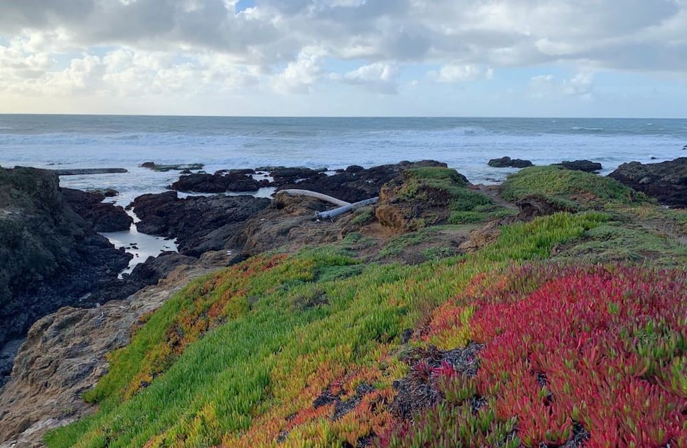 El lugar más “Mendocino” de California: un paraíso colonial oculto de bosques, naturaleza, ríos y mar azul. Foto: Facebook Love the Mendocino Coast