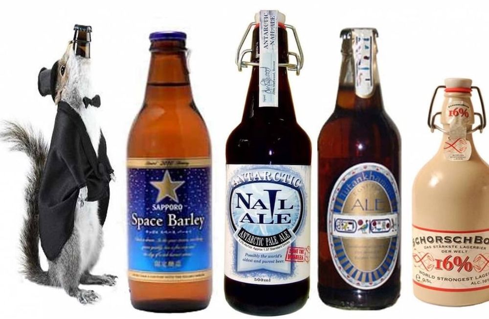Recorré el “dorado mundo” de estas cervezas