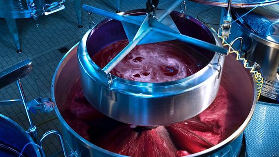 Banco de vinos: las claves para entender el proyecto del gobierno