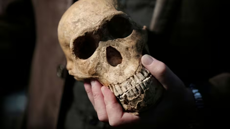 Descubrimiento de un ser humano de 250.000 años de antigüedad deja sin palabras a los científicos