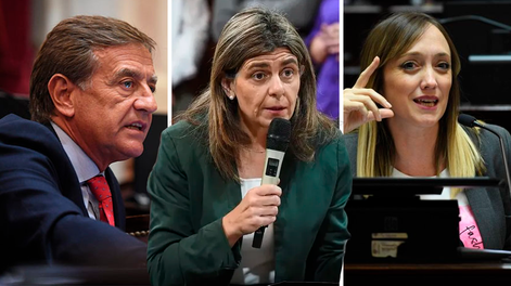 Rodolfo Suarez, Mariana Juri y Anabel Fernández Sagasti votaron en el Senado