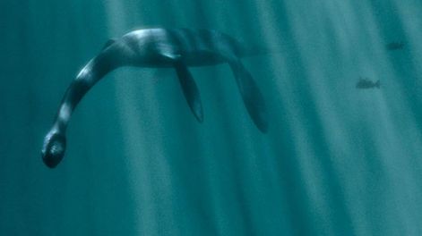 Una mujer asegura que grabó al monstruo del lago Nahuel Huapi.