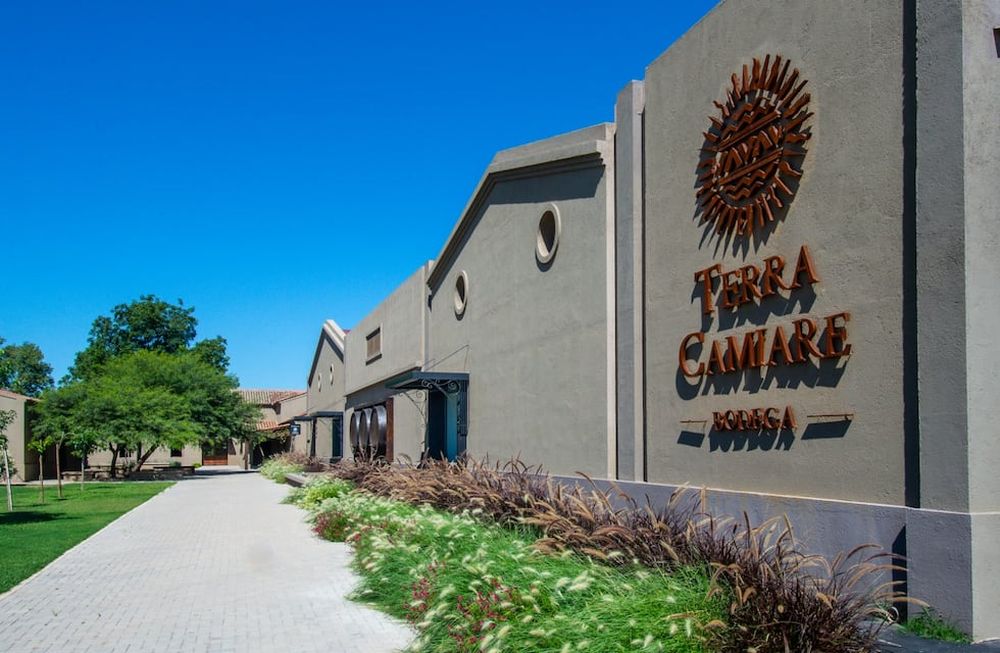 Conocé Terra Camiare: la bodega cordobesa que marca el camino
