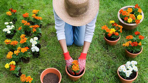 7 tareas de jardinería que deberías empezar ahora para prepararte para el otoño, según los jardineros