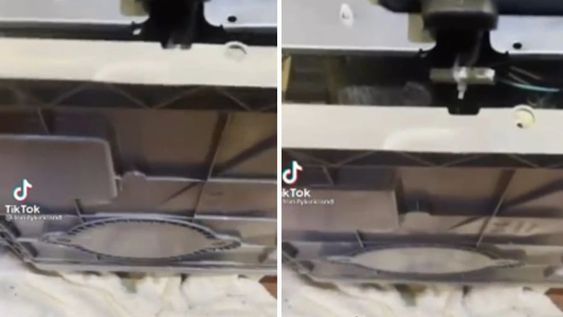 Cuando abrieron la parte trasera del lavavajillas se encontraron con un montón de ratas.