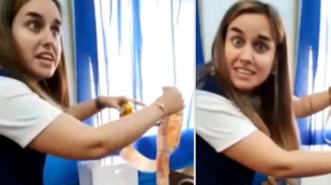 Alumnos de Rosario le regalaron una torta con dinero oculto a una maestra. (Captura de video)