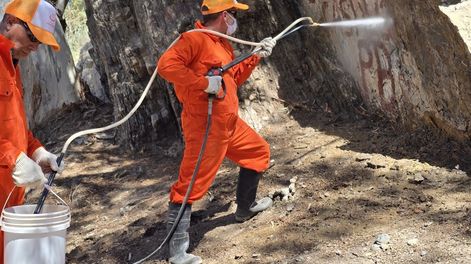 Limpian pintadas en montañas y otros espacios naturales: antes quería ser rico, ahora solo quiero ser feliz