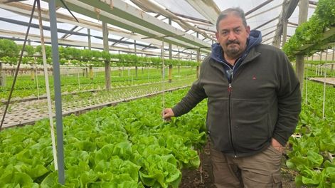Los Andes | Alejandro David  (1)