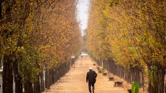 El servicio meteorológico informó que esta semana habrá un marcado descenso de temperatura en la provincia de Mendoza - Foto: Ignacio Blanco