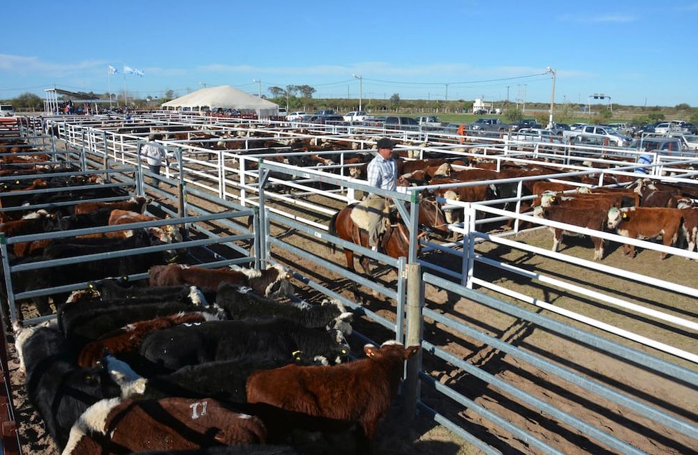 Si bien el sector lleva varios años con altos y bajos, lo cierto es que desde la aparición de la soja, la ganadería ha comenzado a tener preponderancia en otras zonas.
