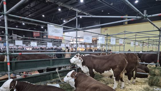 Pequeños emprendedores agropecuarios mendocinos participaron de la feria en La Rural para abrir mercados. Fotos: Facundo Carabajal