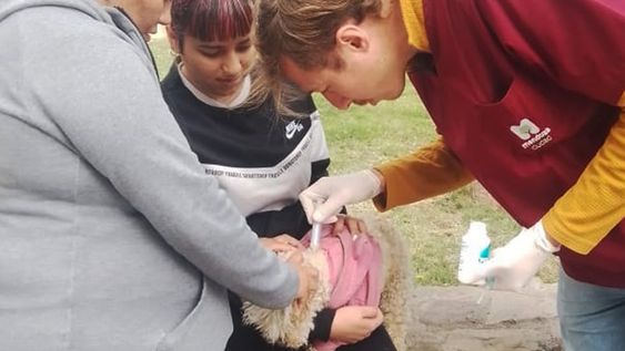 Más de 150 vacunas fueron colocadas por el Día Mundial de la Rabia