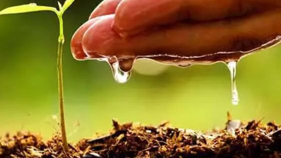 Estos proyectos pueden basarse en investigaciones científicas, desarrollo de tecnologías o aplicaciones que contribuyan a la conservación y uso responsable del agua. Gentileza