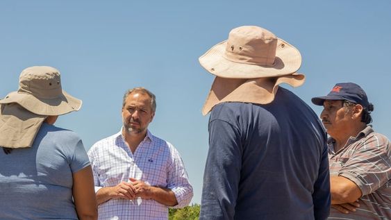 Maipú eximirá del pago de tasas municipales a productores del departamento