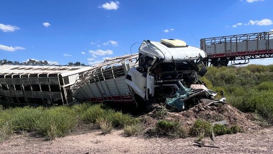 Volcó un camión con ganado en Santa Rosa&nbsp;