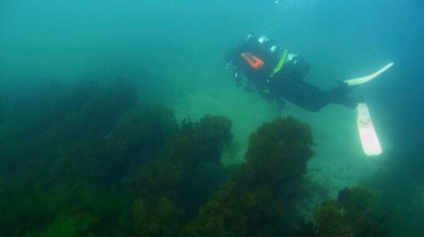 El mar argentino guarda un valioso patrimonio cultural: el fondo y sus costas guardan parte de la historia del país donde han ocurrido al menos 2.000 naufragiosUna campaña nacional busca preservar y generar conciencia sobre su valiosa riqueza.