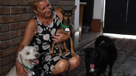 Rosa Del Carmen Martín de la Guardería canina OHM PET. | Foto: Ramiro Gómez / Los Andes