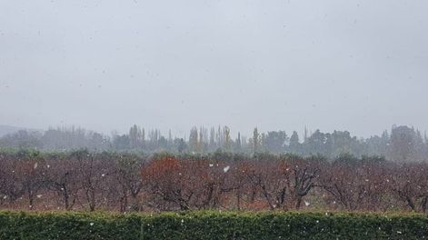 Anticipan un domingo frío y con alerta por nevadas en Mendoza&nbsp;