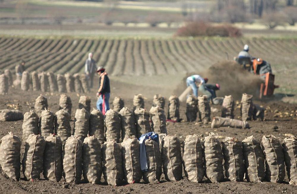 La plataforma concentrará datos de las propiedades utilizadas para la producción vitícola, frutícola, hortícola y forrajera, entreotras.