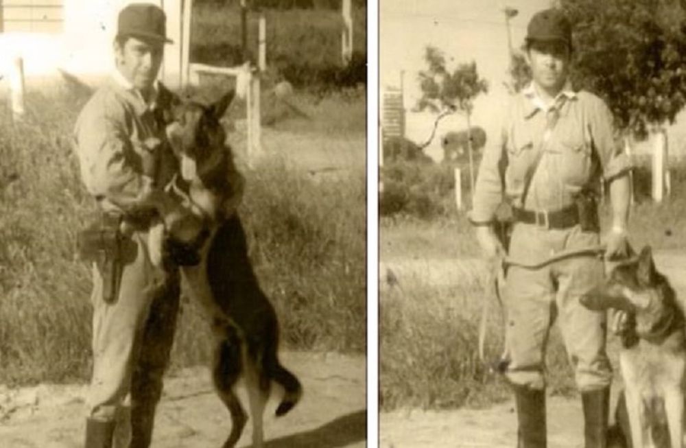 La conmovedora historia de Chonino, el can que dio origen al Día del Perro en Argentina 