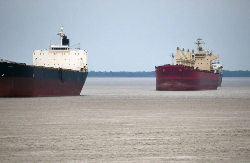 Las exportaciones vitivinícolas han credio en 2020, pese a la pandemia.