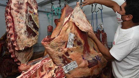 El Gobierno Nacional busca contener los aumentos en la carne vacuna, y para ello decidieron suspender las exportaciones por 30 días. Foto: José Gutierrez / Los Andes