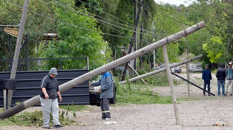 Los Andes | En Las Heras, donde todavía hay vecinos sin servicio, el Zonda derribó 600 postes de luz y 495 árboles. | Foto: Orlando Pelichotti / Los Andes