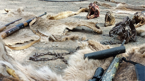 Los Andes | Cementerio de animales: guanacos muertos, cráneos y pieles de pumas y carne faenada, las macabras postales