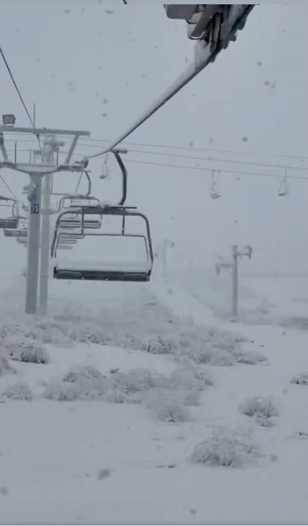 ¿Nevada tardía o anticipada? Fotos y videos de Las Leñas cubierta de nieve en pleno marzo