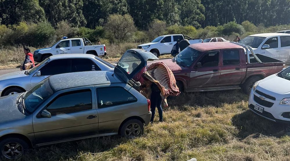 Mientras las autoridades y los servicios médicos se ocupaban del siniestro, decenas de personas, muchas a bordo de automóviles y camionetas, se acercaron al lugar para aprovechar la oportunidad.