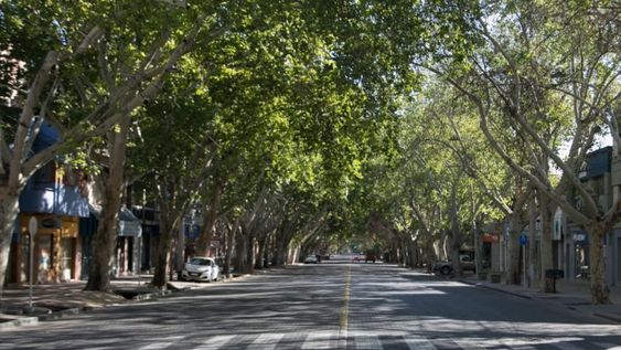 Desde la Secretaría de Ambiente resaltaron que la intención es terminar el recorrido en las calles el 10 de febrero; y contar con toda la información procesada antes de que comience el invierno.