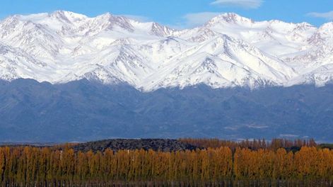 Zonificación productiva: una herramienta para ordenar Mendoza - Por Belén Bobadilla